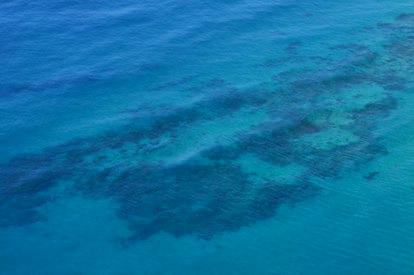 WhatsApp Image 2024-10-04 at 14_44_21_19f98a3f - C